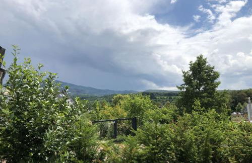 Ferienwohnung Bäumchenblick - Foto 19