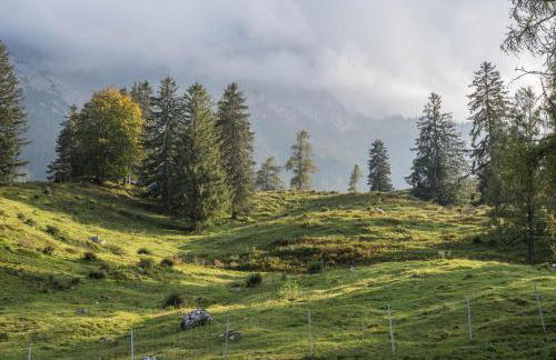 Ferienwohnung Karwendelblick - Foto 40