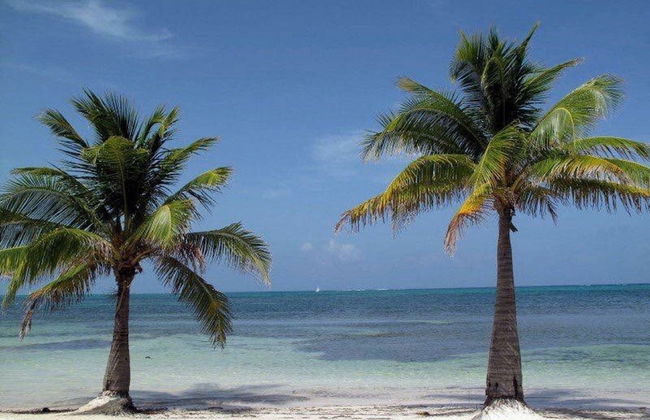 Casa del Rai - Foto 41