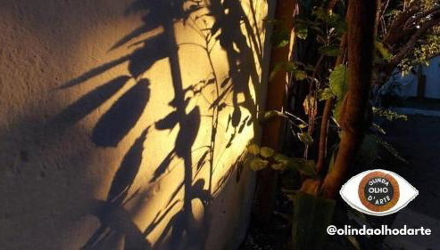 Olinda's Carnival 2025 - Foto 4