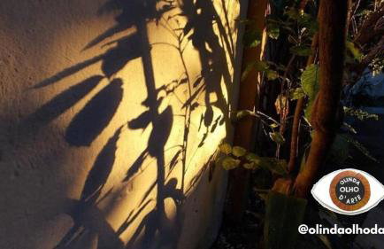 Olinda's Carnival 2025 - Foto 4