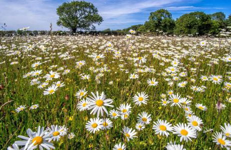 The Coach House R - Foto 42