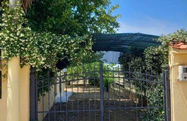 Marianthi’s House - Foto 5