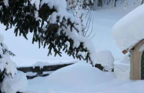 Chalet Cogolara - Foto 69