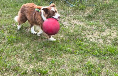 FeWo Renken - Foto 40