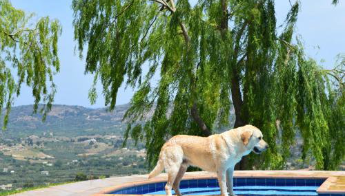 Aspalathos Villas - Foto 5