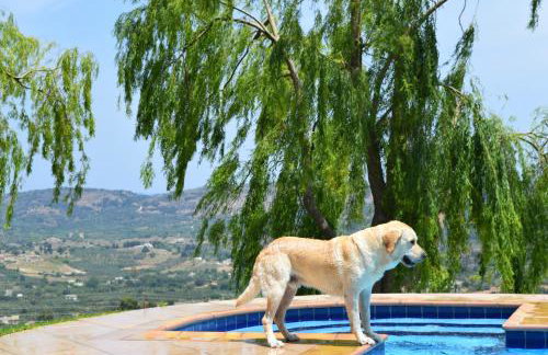 Aspalathos Villas - Foto 5