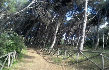 Villetta Silvana tra mare e pineta self check in dopo le 20 - Foto 49