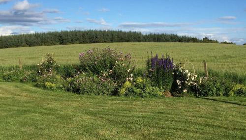 Blackhill Farm Cottage - Foto 4, Garden