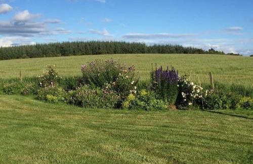 Blackhill Farm Cottage - Photo 4