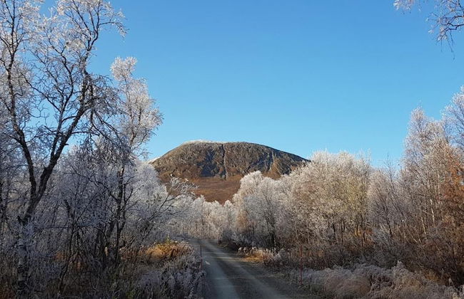 Elvestua House in Nature - Foto 50