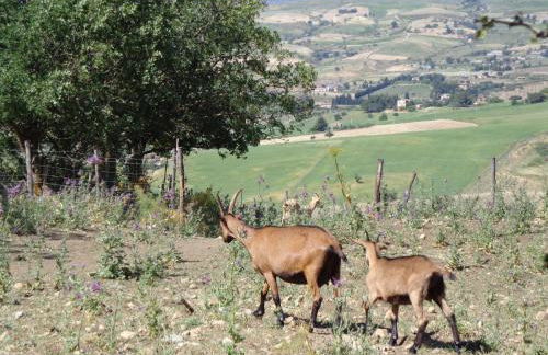 Agriturismo San Pietro - Foto 73