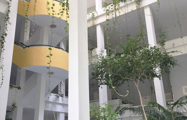 Apartamentos Bahia Playa - Foto 3