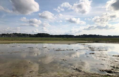 La Muche Valéricaine, coeur de ville, jardin - Foto 4