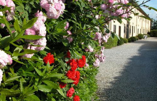Fattoria di Migliarino - Foto 62