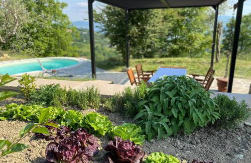 Casa Tincana - Foto 14