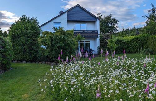 Pfötchenparadies I - Foto 15