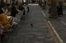 Casa de Corralón - Foto 35