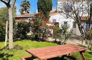 Les Laurier rose - Foto 11