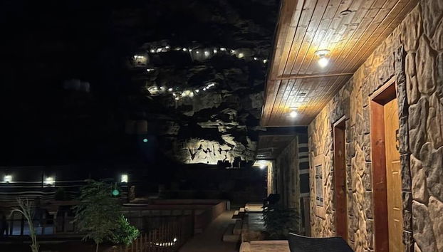 Check-in/check-out kiosk