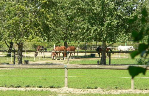 Agriturismo Borgo San Francesco - Foto 23