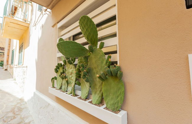 Chianu Palì guest rooms - Photo 47