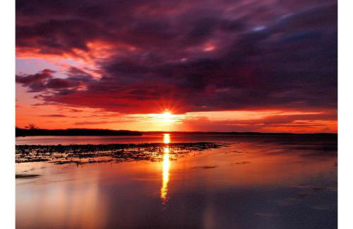 Apartamenty i Domki Osińscy - Foto 7