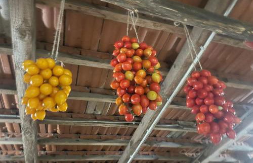 Casa da Cinzia - Foto 12