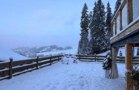 Dom na Zielonym Wzgórzu z własną Sauną i Jacuzzi - Foto 39