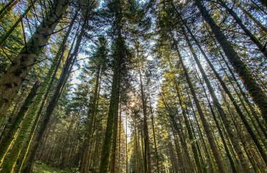 Appart'Hôtel LIDO au bord de l'eau - Foto 64