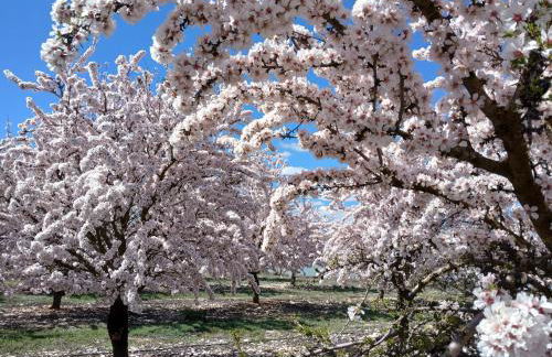 La Casa de Las Burbujas Azules - Foto 22