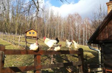 Grebengradska Medna Hiža - Foto 44