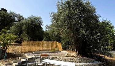 Olive Spell Gastouri House - Foto 2