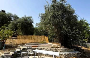 Olive Spell Gastouri House - Foto 2