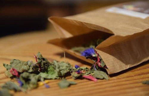 Agritur Agrihouse - Foto 34