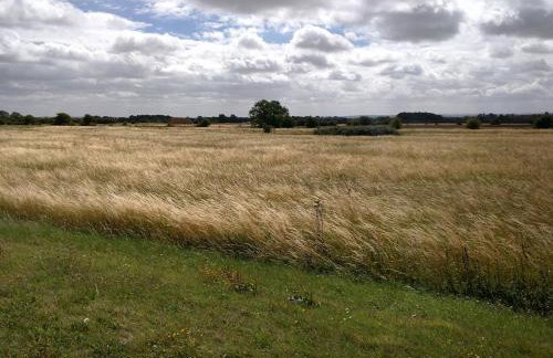 Beautiful Cotswold Farmhouse set in 50 acres - Foto 25