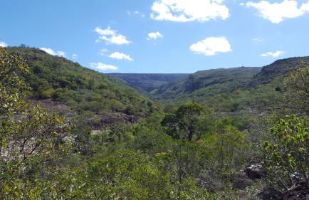 Casa Canto do Bem-te-vi - Photo 64