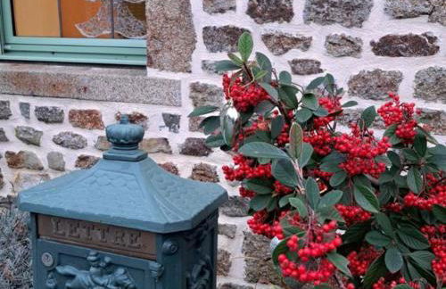 Charmante maison écologique avec jardin clos - FR-1-497-7 - Foto 17