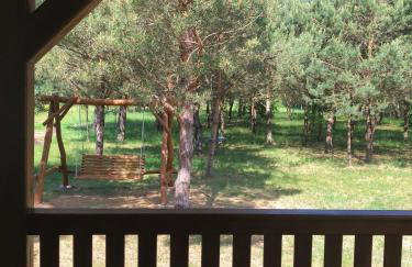 Sosnówka - dom wypoczynkowy na Kurpiach - Foto 29