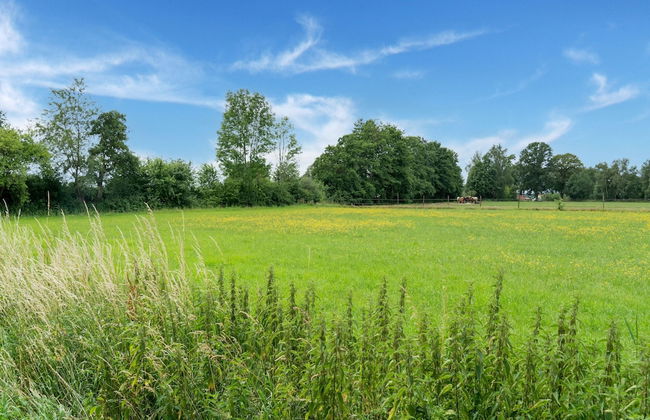 Comfortable Holiday Home in Den Ham With Garden - Foto 22