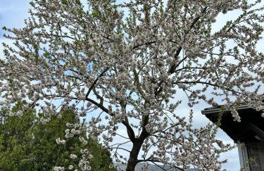 Casa de Miguel Chôco - Foto 3