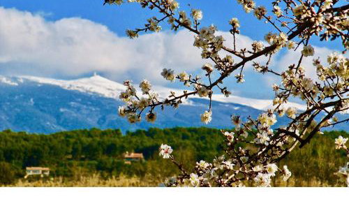 le vieux pont - Foto 5