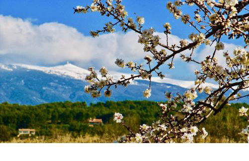 le vieux pont - Photo 5