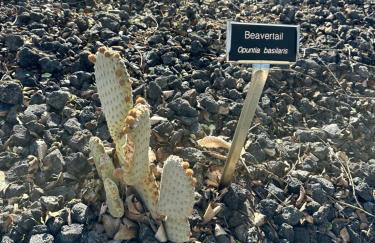 Copper Creek Farm - Foto 30