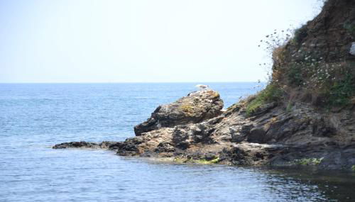 Casa William - Foto 5, Other