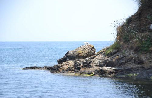 Casa William - Foto 5