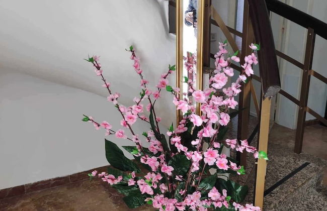 Apartment in Centre of Salento - Photo 18