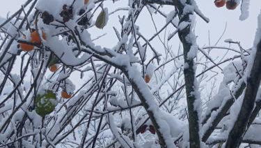 Casa da Emilia do Gerês - Foto 4