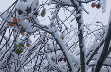 Casa da Emilia do Gerês - Foto 4