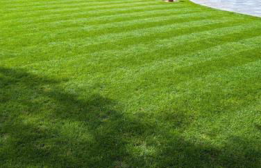 New traditional village house - Foto 22